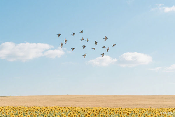 茶与茶具的绝美搭配,品味文化与传承(茶叶与茶具如何搭配)