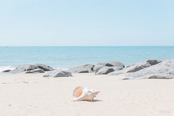 茶道VS茶艺，你懂了吗？（关于茶艺的基本知识）