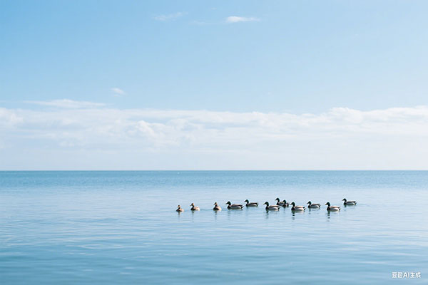 茶语时光,尽显东方韵味(茶语时光唯美句子)