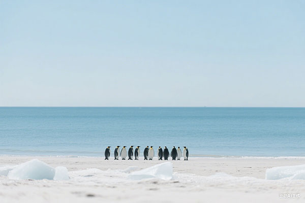 潮州茶文化:从茶起源到茶博物馆的探索之旅(阳羡茶文化博物馆)