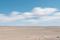 茶韵流转：探索与弘扬中华茶文化（传承中国茶文化）