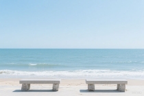 茶艺专业：探茶文化（茶艺与茶文化专业就业前景）