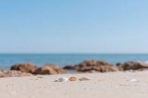 茶道与茶文化：从历史起源到现代艺术的全解读（中国茶艺的起源与发展）