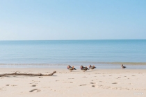 茶韵墨香润童心 美育成果绽芳华