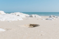 茶韵悠长：中国人为何独爱泡茶